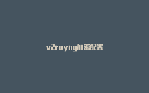 v2rayng加密配置