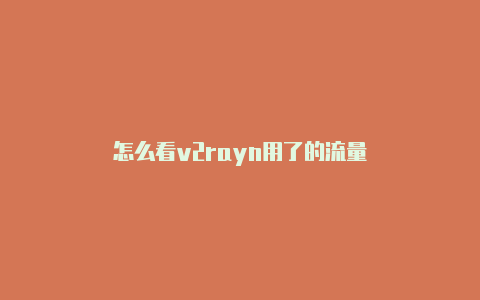 怎么看v2rayn用了的流量-v2rayng