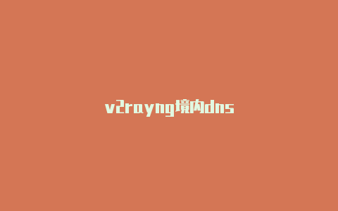 v2rayng境内dns