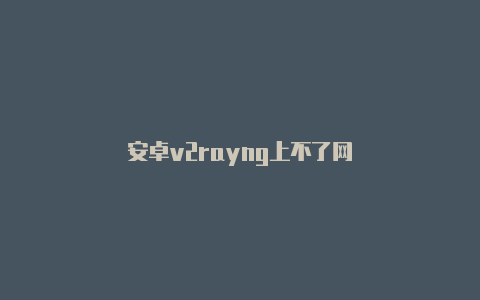 安卓v2rayng上不了网-v2rayng