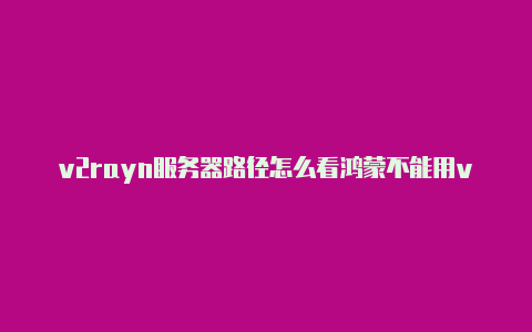 v2rayn服务器路径怎么看鸿蒙不能用v2rayng