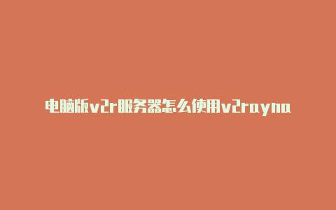 电脑版v2r服务器怎么使用v2raynayn