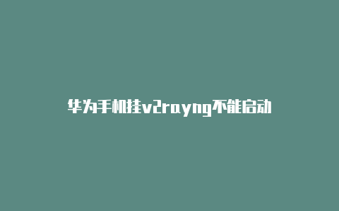 华为手机挂v2rayng不能启动