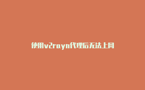 使用v2rayn代理后无法上网-v2rayng