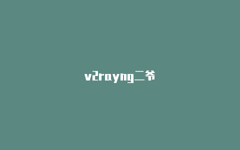 v2rayng二爷-v2rayng