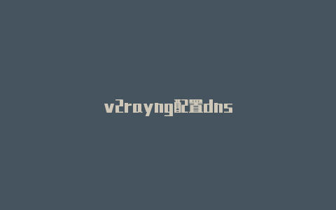 v2rayng配置dns