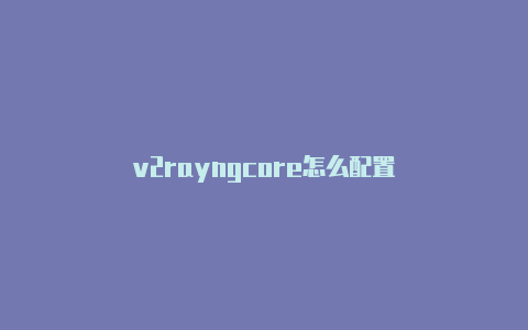 v2rayngcore怎么配置