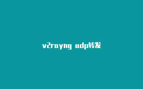 v2rayng udp转发-v2rayng