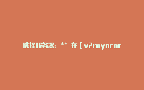 选择服务器:** 在【v2rayncore压缩包】