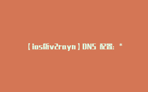 【ios版v2rayn】DNS 配置：**如-v2rayng