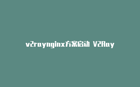v2raynginx方案启动 V2RayNG-v2rayng