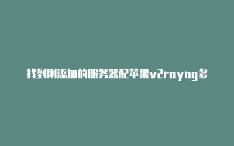 找到刚添加的服务器配苹果v2rayng多少钱-v2rayng